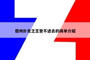 德州扑克之王登不进去的简单介绍