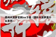 德州大菠萝官网ios下载（德扑大菠萝是什么意思）