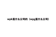 wpk是什么公司的（wpg是什么公司）