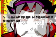 为什么德州中数学很重要（山东德州初中数学教材是哪个版本）