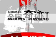泰安升级中文版（山东泰安升级打法）