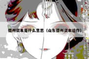 德州资本是什么意思（山东德州资本运作）