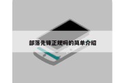 部落先锋正规吗的简单介绍