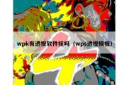 wpk有透视软件挂吗（wps透视模板）