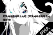 天天畅玩德州平台介绍（天天畅玩德州平台介绍视频）
