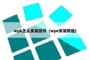 wpk怎么安装挂件（wpe安装教程）