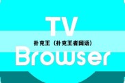 扑克王（扑克王者国语）
