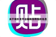 关于微扑克平台辅助挂教程的信息