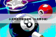 小丑牌在中国合法吗（小丑牌小说）
