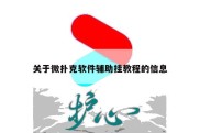 关于微扑克软件辅助挂教程的信息