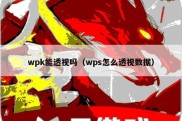 wpk能透视吗（wps怎么透视数据）