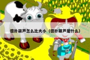德扑葫芦怎么比大小（德扑葫芦是什么）
