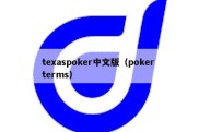 texaspoker中文版（poker terms）