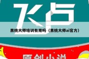 黑桃大师培训有用吗（黑桃大师ai官方）