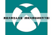黑桃大师怎么充值（黑桃大师培训软件下载）