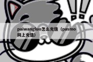 paiwangluo怎么充值（pasmo网上充值）
