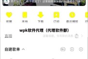 wpk软件代理（代理软件鄱）