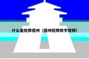 什么是短牌德州（德州短牌教学视频）