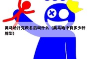 奥马哈扑克改名后叫什么（奥马哈中有多少种牌型）