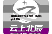 blackjack游戏在哪里（blackqink游戏）