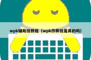 wpk辅助挂教程（wpk作弊挂是真的吗）