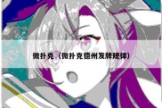 微扑克（微扑克德州发牌规律）