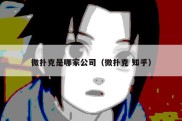 微扑克是哪家公司（微扑克 知乎）