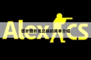 德扑圈扑克总输的简单介绍