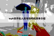 wpk软件私人局有挂吗的简单介绍