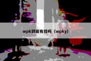 wpk到底有挂吗（wpky）