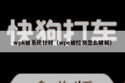 wpk被系统针对（wpe被检测怎么破解）