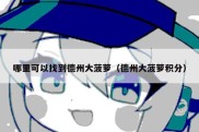 哪里可以找到德州大菠萝（德州大菠萝积分）